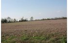 Property photo 3 - 641 Acres Offered in 16 Tracts - 545 Cropland Acres